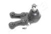 HYUNDAI 545284AA10 Ball Joint
